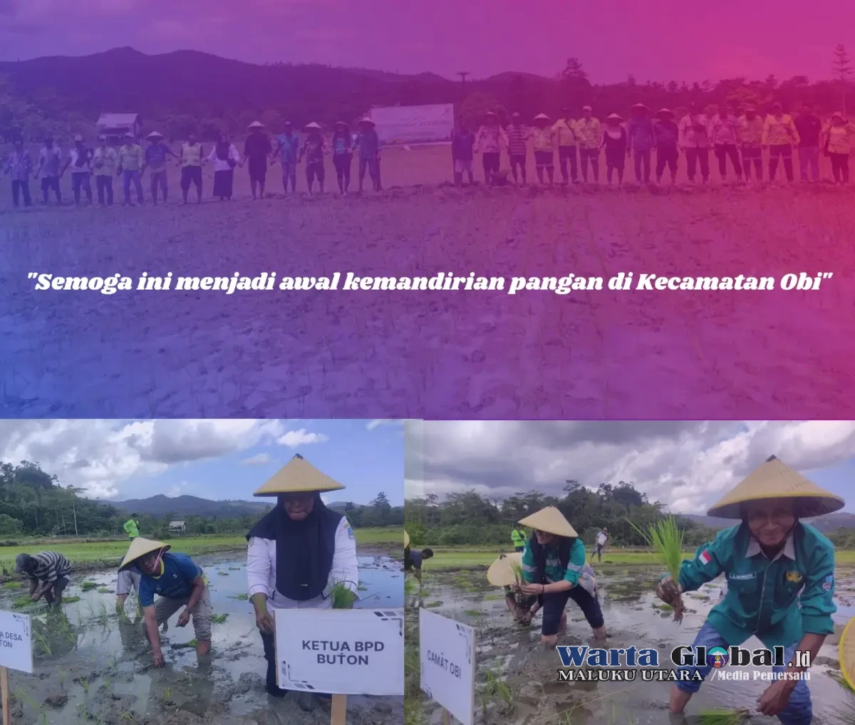 Tetap Konsisten Jalankan Program PPM, Harita Nickel Berkolaborasi dengan Petani dan Forkopincam Obi Lakukan Penanaman Padi Bersama