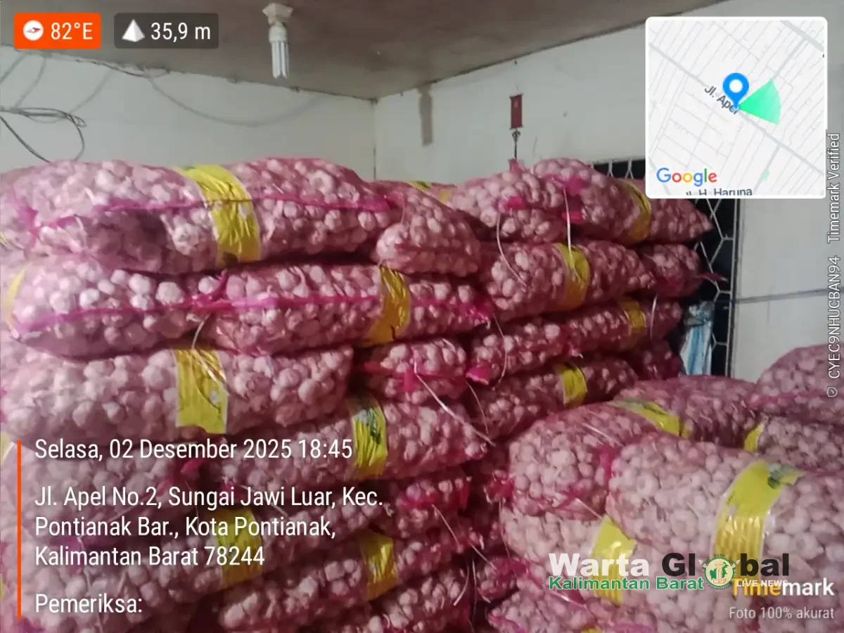 Penampungan Bawang Putih Diduga Ilegal di Jl. Apel, Pontianak Barat