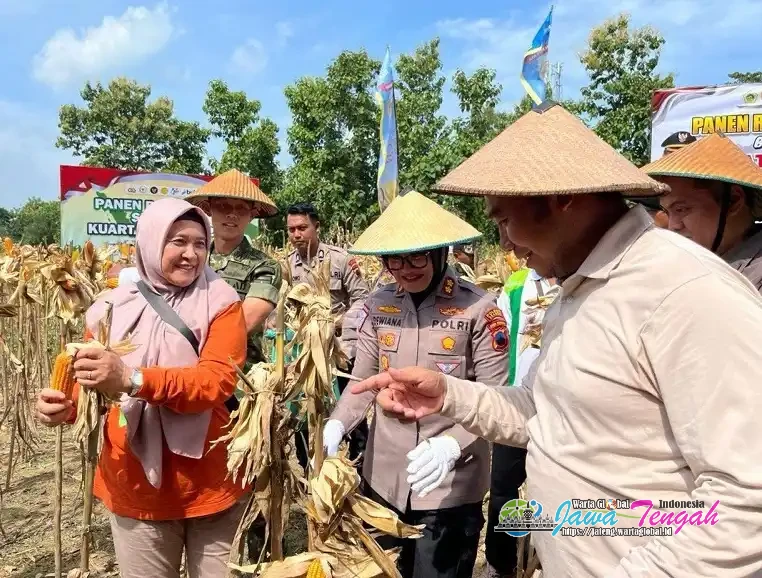 Hadiri Panen Raya Jagung, Bupati Sragen: Dukung Program Presiden Prabowo Wujudkan Swasembada Pangan Nasional