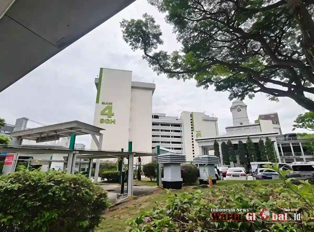 Tragedi South Bridge Road: Sheyna Lashira (6) Tewas Ditabrak Mobil Listrik, Penabrak Bebas Jaminan – Keadilan untuk WNI Indonesia Masih Mengambang?