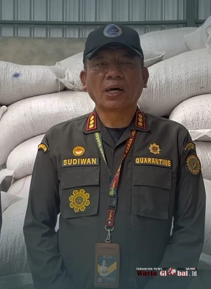 Kacang Impor Malaysia 'Beracun'! Karantina Jambi Gagalkan Pemasukan 40 Ton Akibat Aflatoksin Tinggi