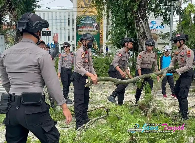 Gerak Cepat!! Polresta Surakarta dan BPBD Atasi Pohon Tumbang Cegah Kemacetan