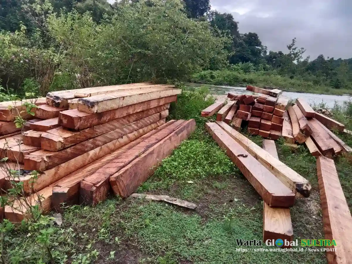 Dugaan tindak pidana pengolahan hasil hutan tanpa izin di desa pinole kec, latoma, kab konawe