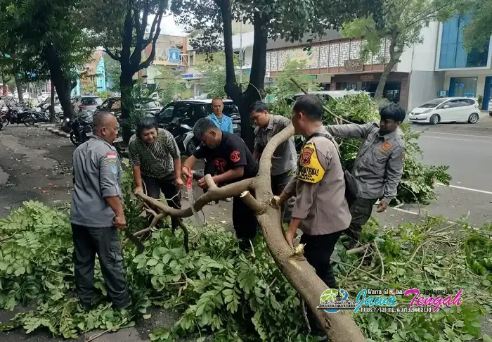 Gerak Cepat!! Bhabinkamtibmas Timuran Bersama Perangkat Kelurahan Bersihkan Dahan Pohon Patah