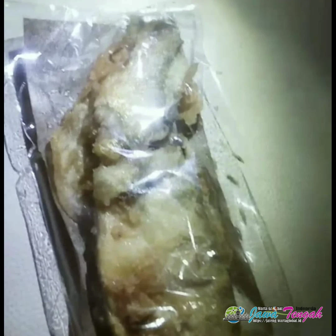 Heboh!! SPPG Kuwasen 2 Diduga Bagi Menu MBG Gratis Berbelatung, Gegerkan Sekolah di Jepara