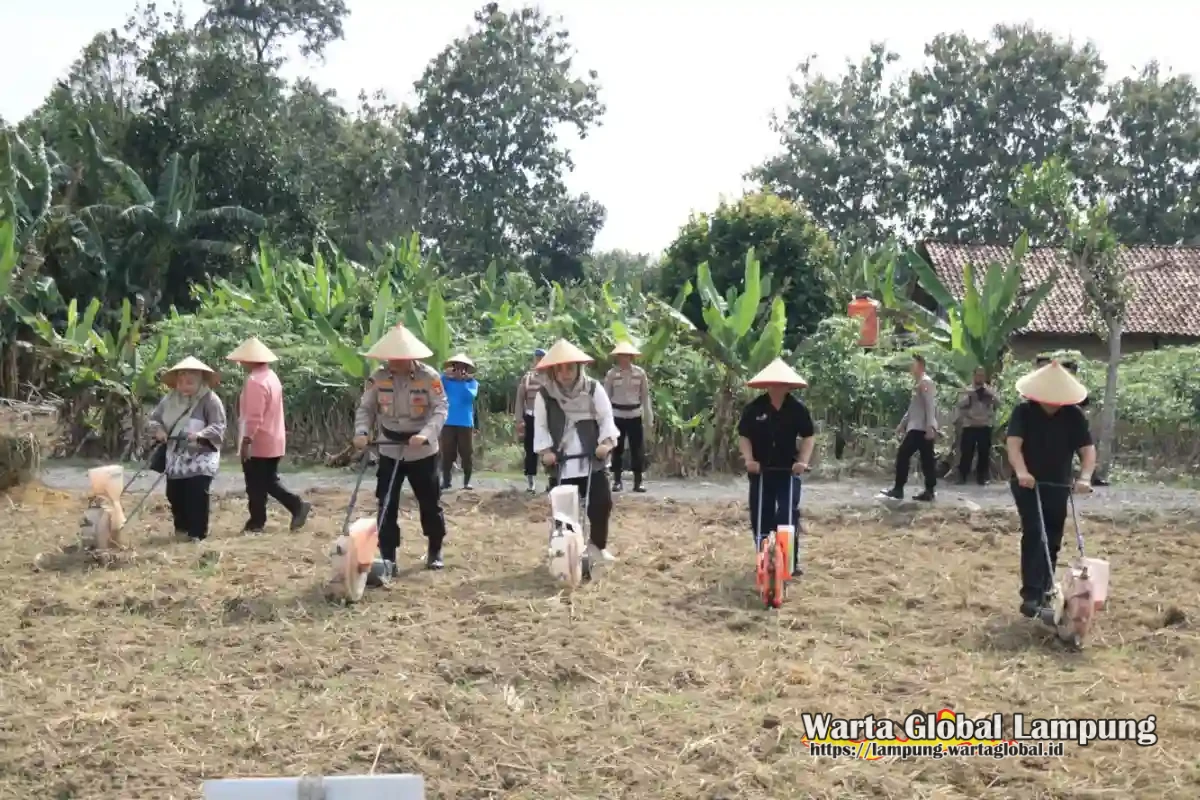 Polres tulang bawang gelar penanam jagung serentak, dukung swasembada pangan nasional,