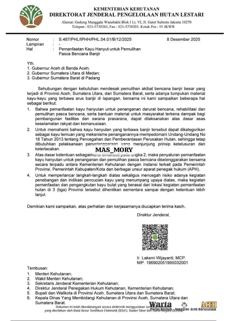 Sinergi Pusat dan Daerah, Kebijakan Pemanfaatan Kayu Sisa Banjir Dukung Pemulihan Aceh Tamiang