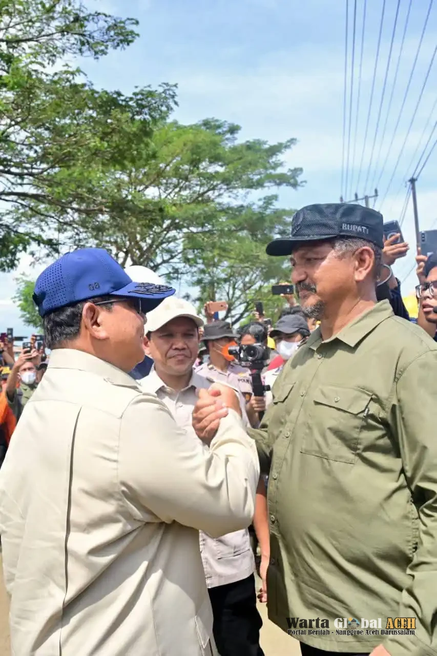 Pemerintah dalam Merumuskan Kebijakan dan Menyalurkan Bantuan yang Tepat Sasaran Kepada Pelaku UMKM