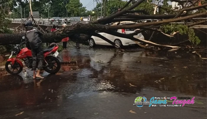 Pemkot Semarang Gerak Cepat Atasi Pohon Tumbang