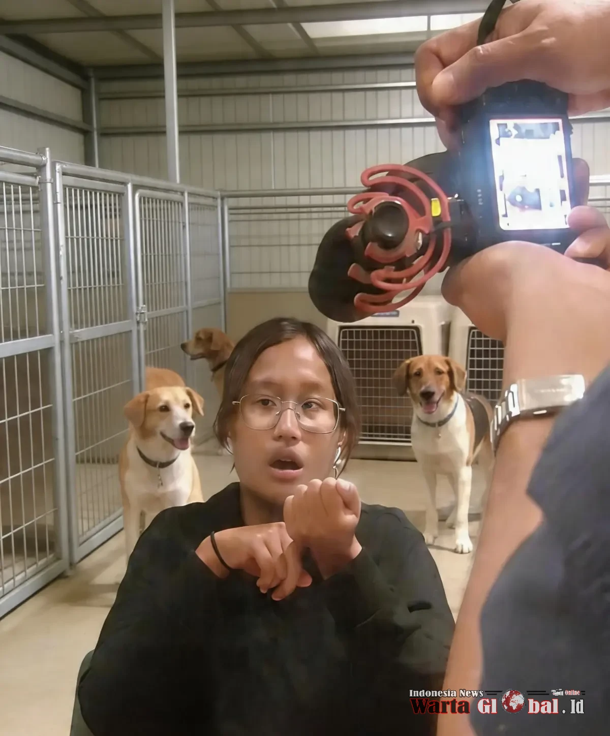 ANIMAL FOUNDATION Hindered by 
PROHIBITION