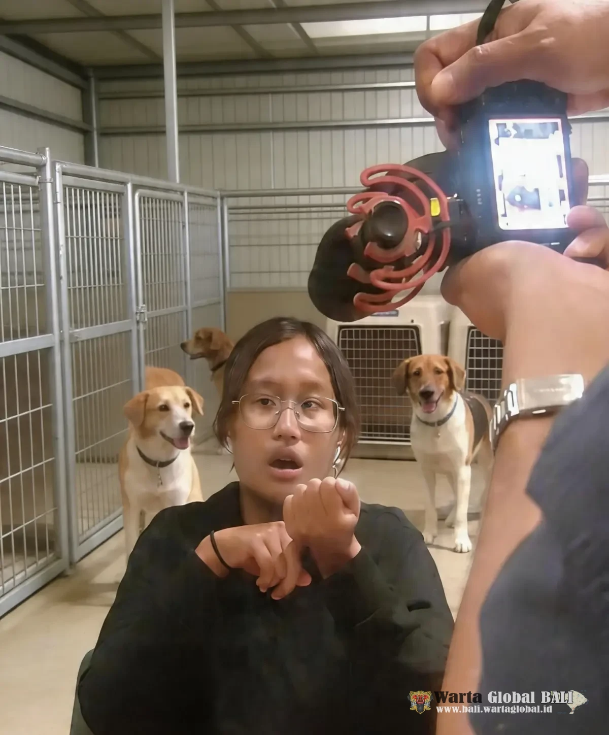 Yayasan Satwa Terhambat Larangan