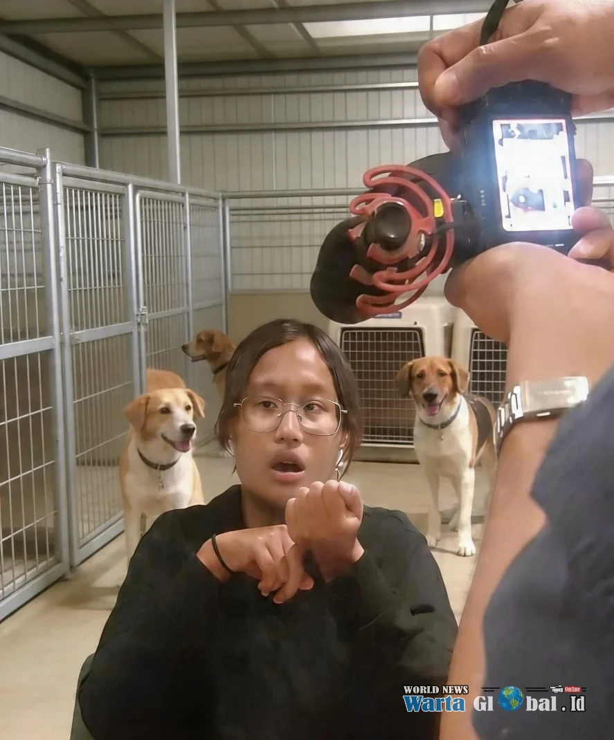 ANIMAL FOUNDATION Hindered by PROHIBITION