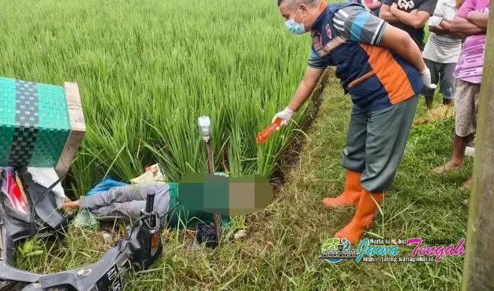 Tragis! Warga Sambungmacan Sragen Temukan Petani Perempuan Tewas, Diduga Tersengat Listrik Jebakan Tikus