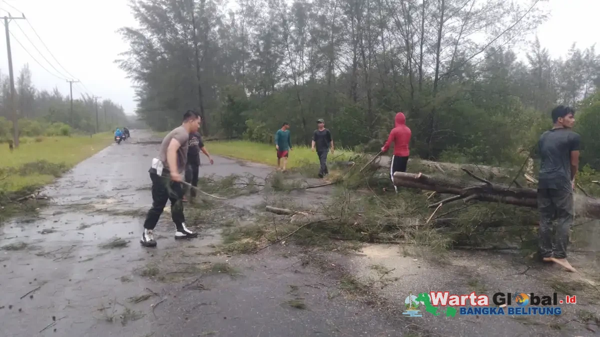Polsek Merawang Gerak Cepat Evakuasi, Pohon Tumbang di Jalan Lintas Timur Merawang