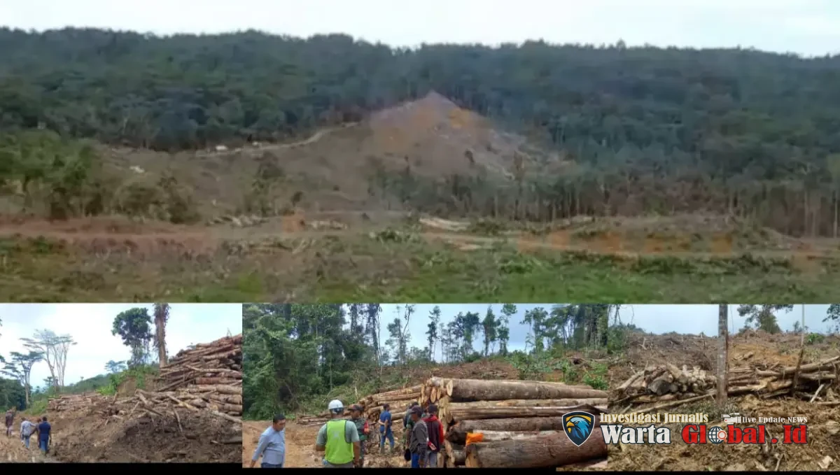 FORMAPAS Malut Ungkap Dugaan Pelanggaran PT Kalpika Wanatama, Pemerintah Diminta Turun Tangan