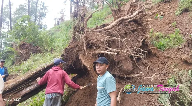 Gerak Cepat! Polisi dan Warga Bersihkan Longsor di Petungkriyono, Akses Jalan Kembali Normal