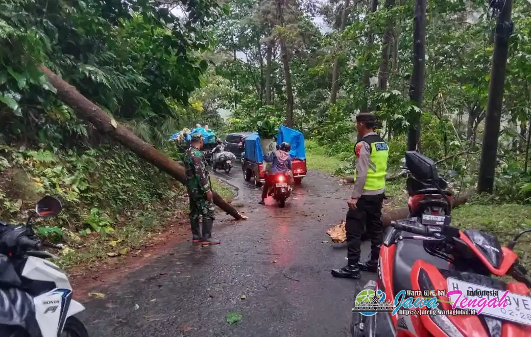 Tutup Akses Jalan, Petugas Gabungan Gerak Cepat Lakukan Evakuasi Pohon Tumbang di Lebakbarang–Karanganyar