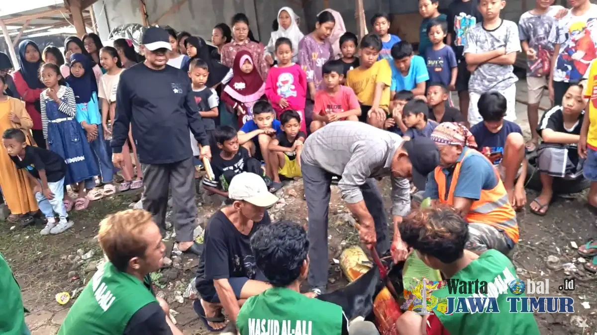 Masjid Al Ali Gelar Penyembelihan Hewan Qurban, Salurkan Daging Untuk Warga RW 07 Mejoyo
