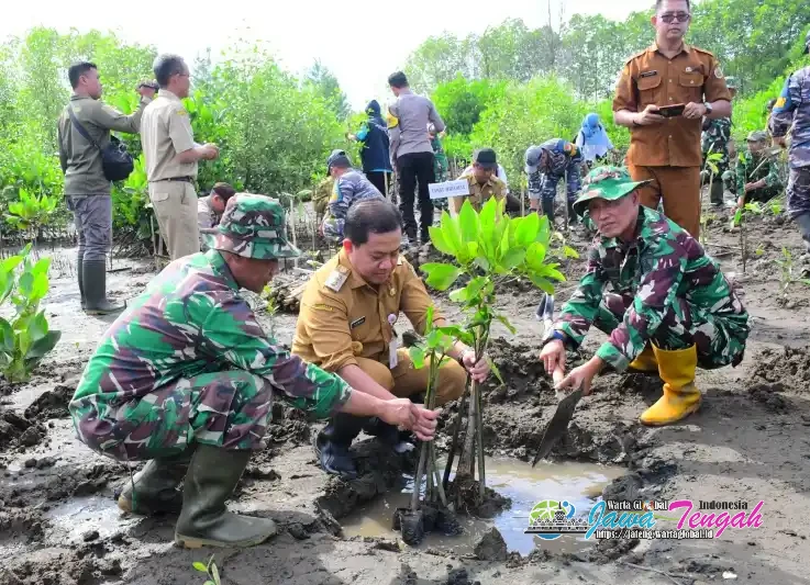 Aksi Peduli Lingkungan, Pemkab Pekalongan dan Kodim Bersinergi Tanam 1.000 Bibit Mangrove Atasi Abrasi di Wonokerto Aksi Peduli Lingkungan, Pemkab Pekalongan dan Kodim Bersinergi Tanam 1.000 Bibit Mangrove Atasi Abrasi di Wonokerto
