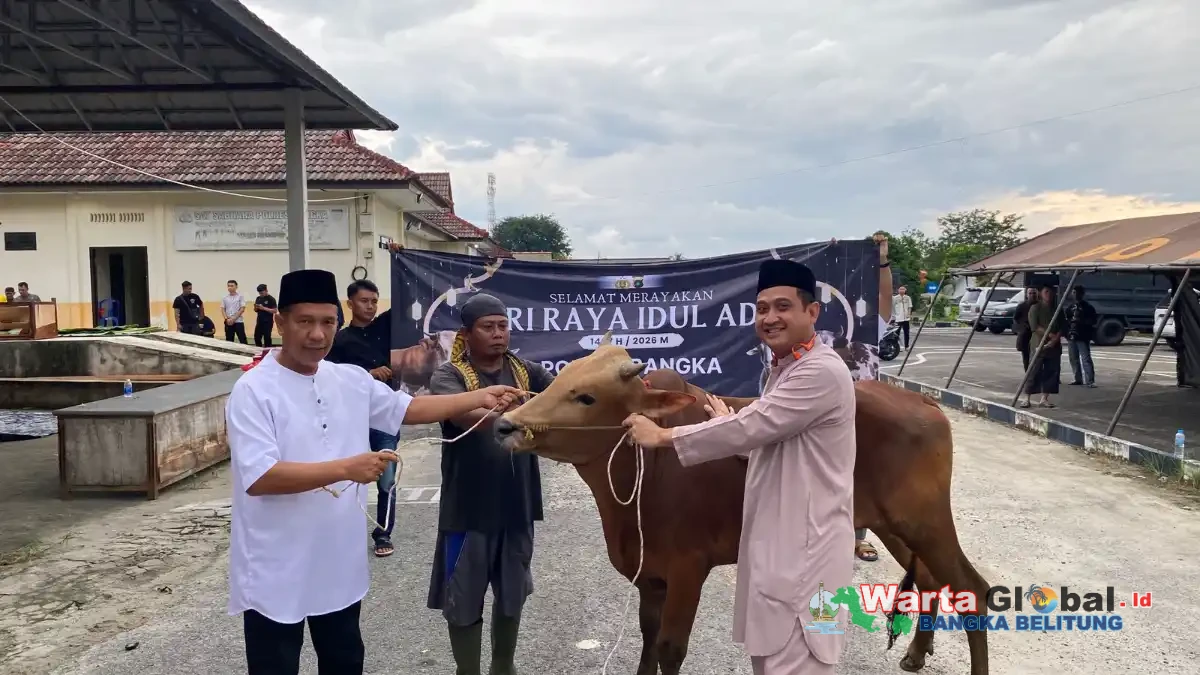Polres Bangka Kurban 4 Sapi dan 4 Kambing, Kapolres: Kurban Ajarkan Nilai Keikhlasan