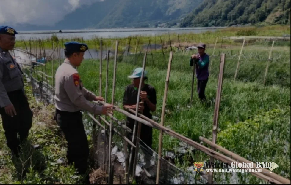 PROGRAM ASTRA CITRA,SATPOLAIRUT
POLRES BANGLI BERSINERGI.
WARGA PESISIR DANAU BATUR