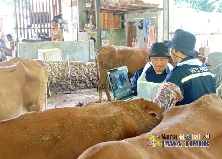 Jateng Pastikan Hewan Kurban Iduladha Surplus