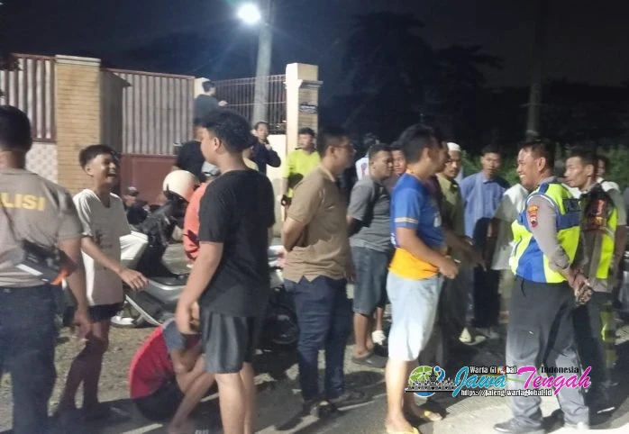 Heboh! Kerbau Kurban Lepas Seruduk 2 Pemotor, Polisi Berhasil  Melumpuhkan