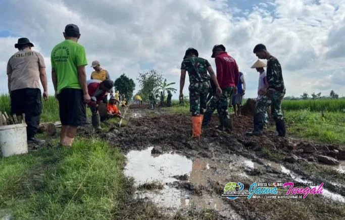 TMMD ke-128 Kodim 0725/Sragen: Jalan Desa Puro Mulai Berubah, Progres Capai 35 Persen