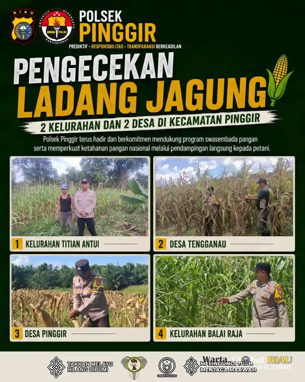 Polsek Pinggir Cek Ladang Tanaman Jagung,Untuk Mendukung Program Ketahanan Pangan tahun 2026.