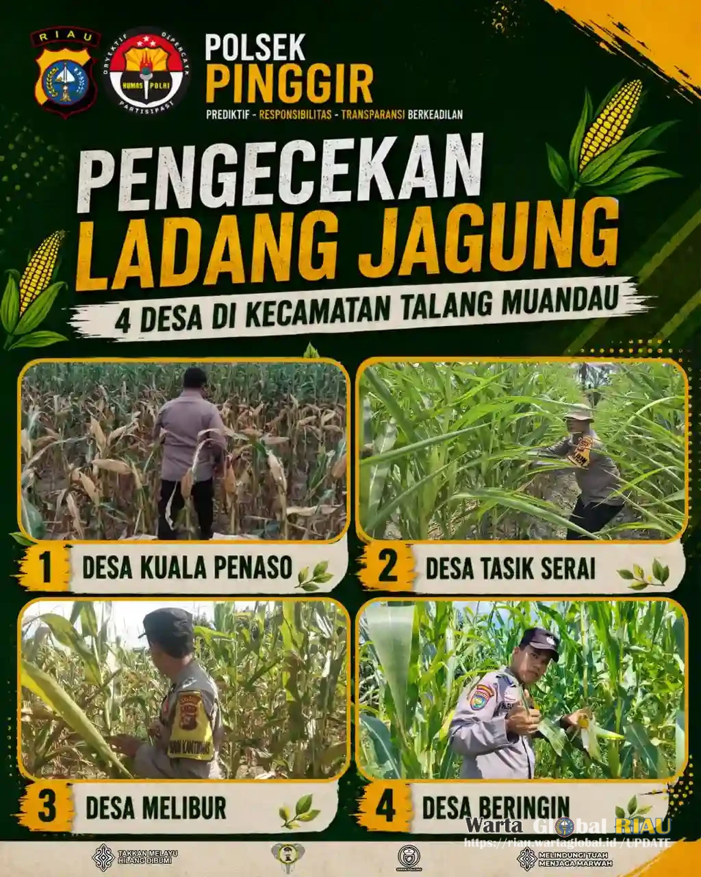 Jajaran Polsek Pinggir,Cek di 4 Desa Kec.Talang Muandau  Lokasi Tanaman Jagung Pipil.Untuk Dukung Program ketahanan Pangan Tahun 2026.