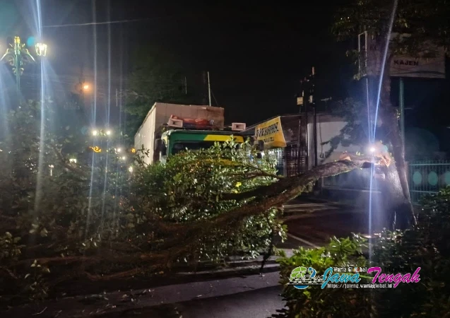 Truk Bermuatan Hebel Tabrak Pohon di Kajen, Polisi Gerak Cepat Atasi Pohon Tumbang Arus Lalu Lintas Kembali Normal