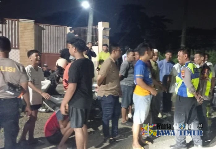 Kerbau Kurban Lepas Seruduk Dua Pemotor di Kudus, Polisi Berhasil  Melumpuhkan
