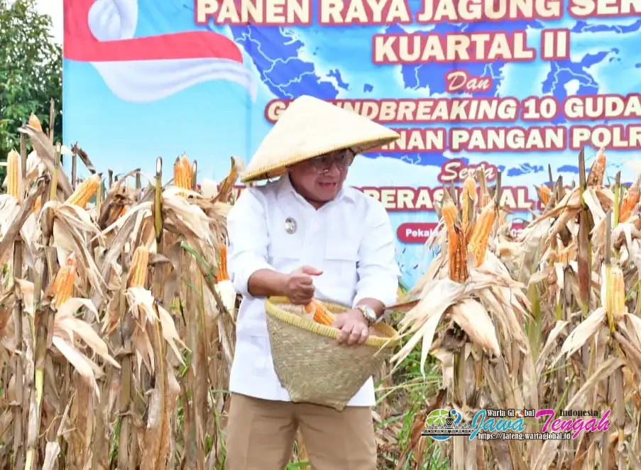 Pemkab Pekalongan dan Polres Gelar Panen Raya Jagung Serentak, Dukung Swasembada Pangan