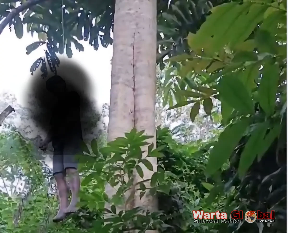 Diduga Bunuh Diri, Seorang Pemuda Ditemukan Meninggal Tergantung di Bambapuang