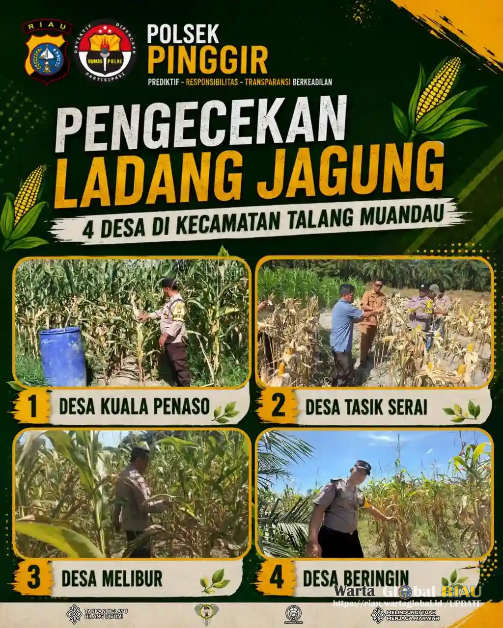 Polsek Pinggir lewat Bhabinkamtibmas Lakukan Pengecekan Perkembangan Tanaman Jagung di Empat Desa di Kec.Talang Muandau