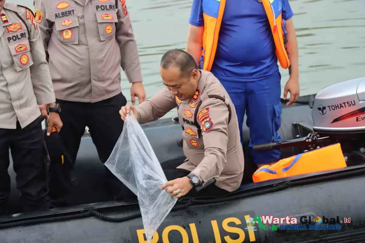 Sambut HUT Bhayangkara ke-80, Polres Bangka Barat Tebar 5.000 Benih Ikan Nila di Teluk Rubiah
