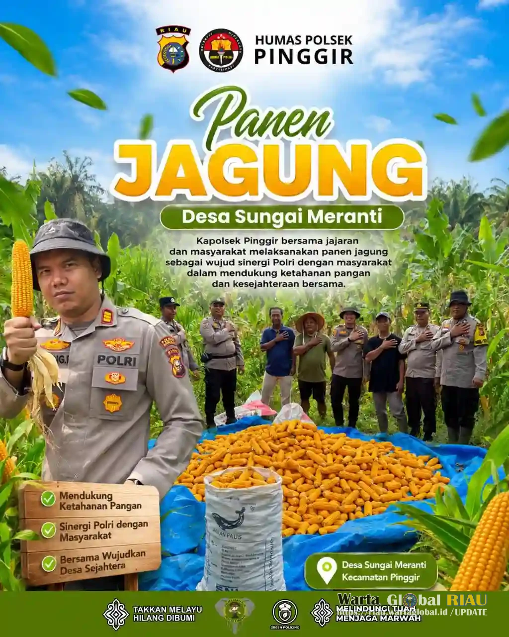 Kapolsek Pinggir  Bersama Jajaran Panen Jagung di Desa  Sungai Meranti,Dukukung Program Ketahanan Pangan Tahun 2026.