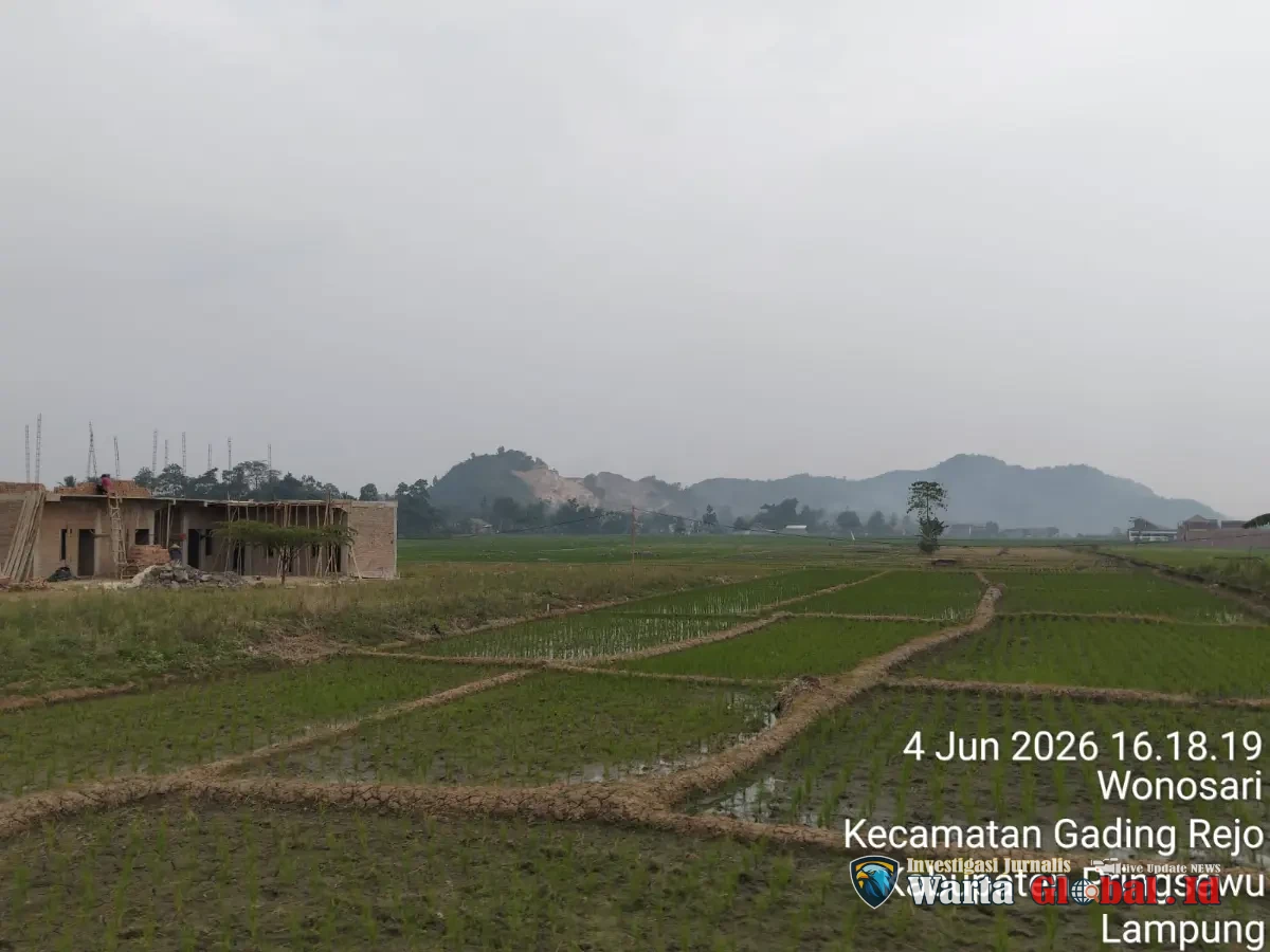 Dugaan Alih Fungsi Sawah Produktif di Pringsewu Disorot, LSM PENJARA: Jika Melanggar Aturan, Berpotensi Berimplikasi Pidana