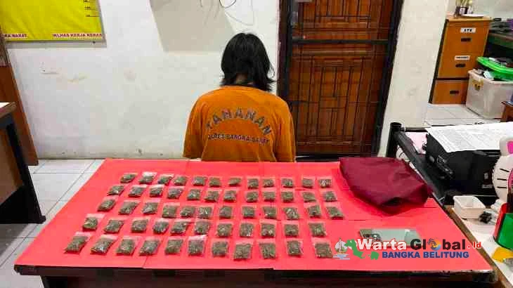 Polres Bangka Barat amankan pelaku dan 58 paket ganja di Mentok